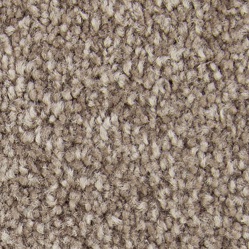 Striking Option 559 Tudor 55 oz. Triexta Smartstrand Texture Indoor Carpet Flooring 12' Feet Wide (9 sf / yd)