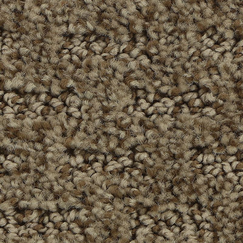 Stylish Tones 876 Tightrope 25 oz. Polyester Everstrand Pattern Indoor Carpet Flooring 12' Feet Wide (9 sf / yd)