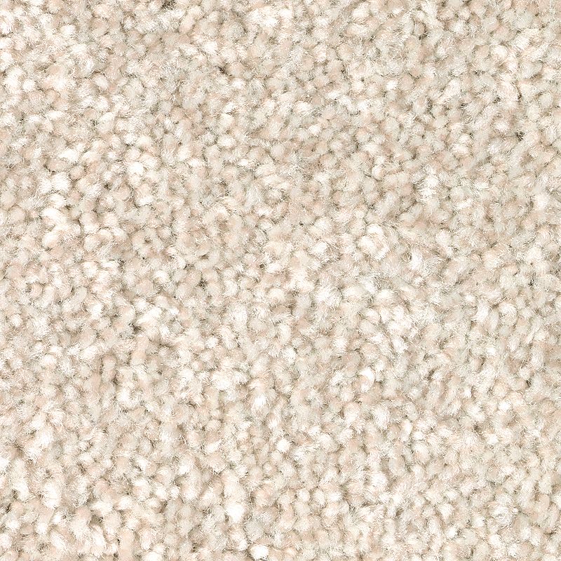 True Harmony 718 Homespun 35 oz. Triexta Smartstrand Texture Indoor Carpet Flooring 12' Feet Wide (9 sf / yd)