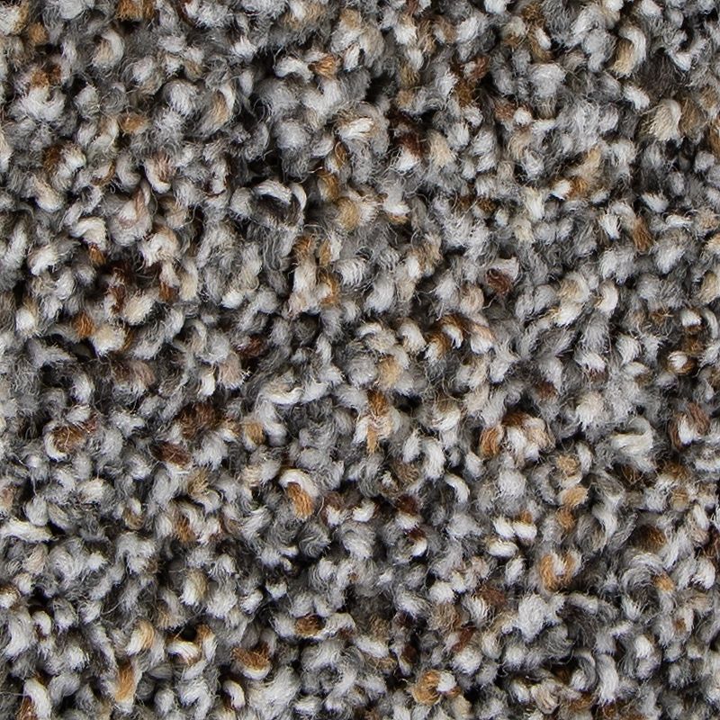 Unique Direction 507 Cloudy Shadow 50 oz. Triexta Smartstrand Texture Indoor Carpet Flooring 12' Feet Wide (9 sf / yd)