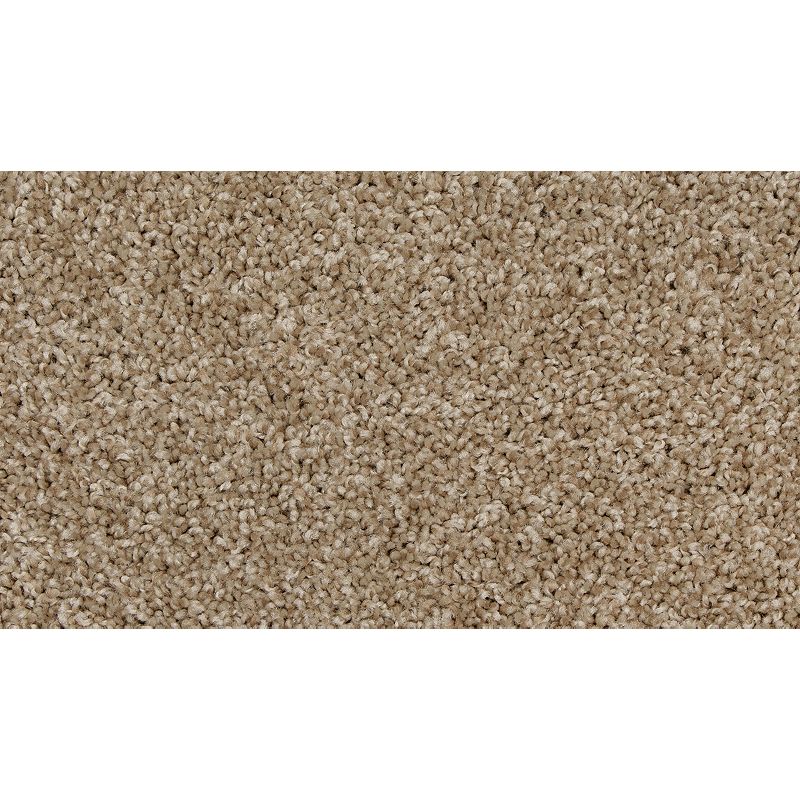 Up The Ante 725 Sandy Cove 25 oz. Polyester Everstrand Texture Indoor Carpet Flooring 12' Feet Wide (9 sf / yd)