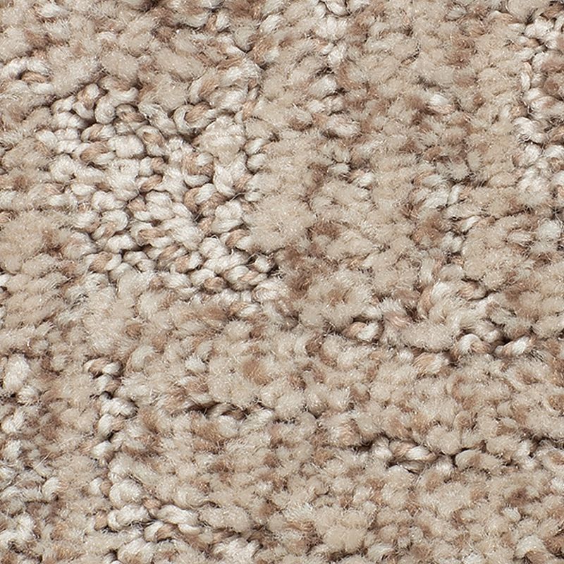 Woven Elements 861 Desert Accents 38 oz. Polyester Everstrand Pattern Indoor Carpet Flooring 12' Feet Wide (9 sf / yd)