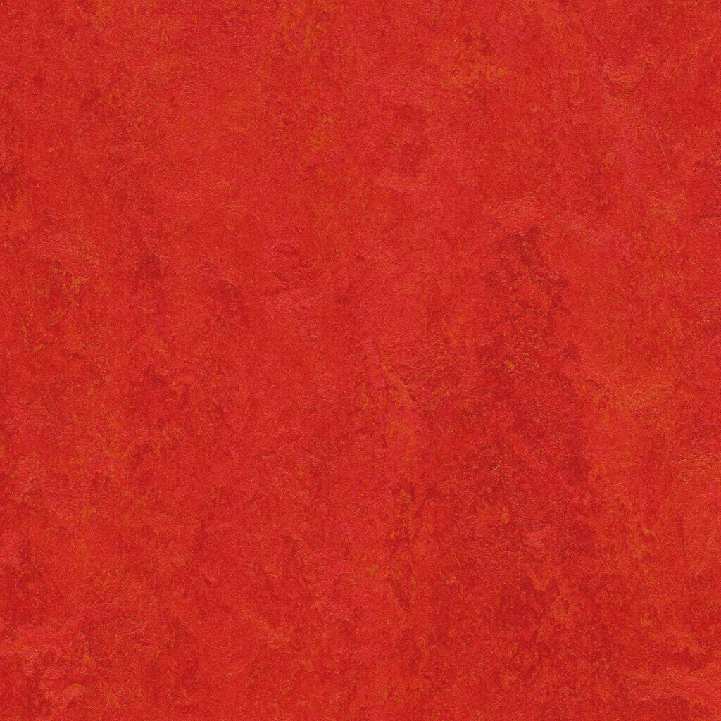 Marmoleum Modular t3131-20x20 Scarlet 2.5 mm T x 19.69" In W x 19.69" In L Homogeneous Eco-Friendly Linoleum Tile Flooring (53.81 sf / box)