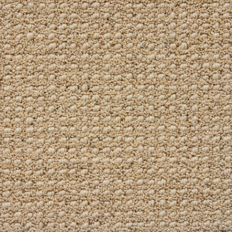 Amalfi Coast 2136 Autumn Foliage 64 oz. Wool  Pattern Indoor Carpet Flooring 13' Feet 2" Inches Wide (9 sf / yd)