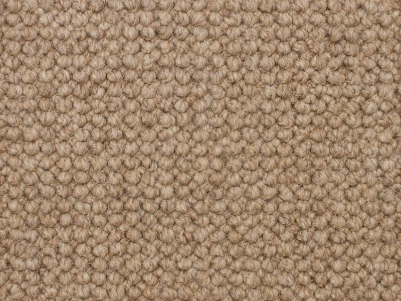 Ambassador 2103 Weathered Oak 54 oz. Wool  Loop Indoor Carpet Flooring 13' Feet 2" Inches Wide (9 sf / yd)