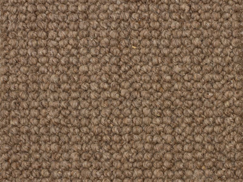 Ambassador 2109 Dakota Earth 54 oz. Wool  Loop Indoor Carpet Flooring 13' Feet 2" Inches Wide (9 sf / yd)