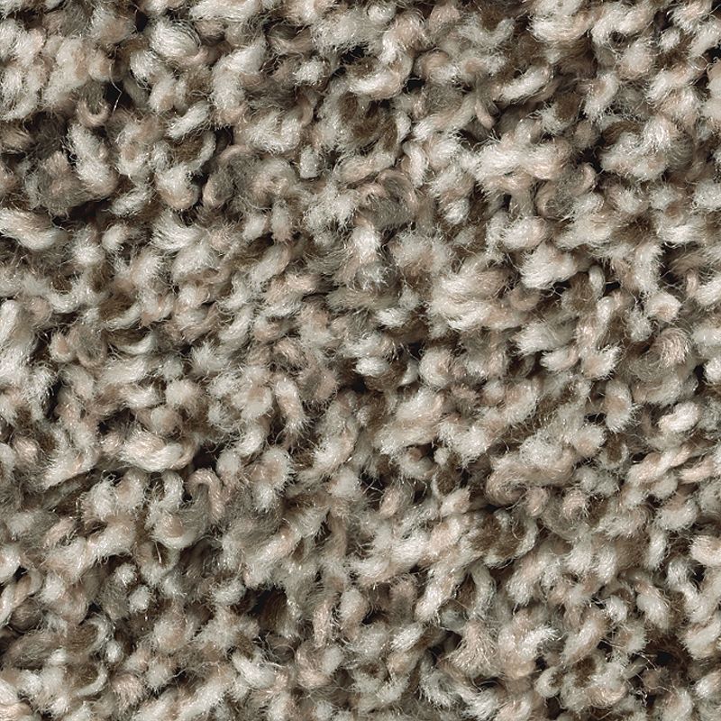 Artist's Slate 825 Virginia Mist 25 oz. Triexta Smartstrand Texture Indoor Carpet Flooring 12' Feet Wide (9 sf / yd)