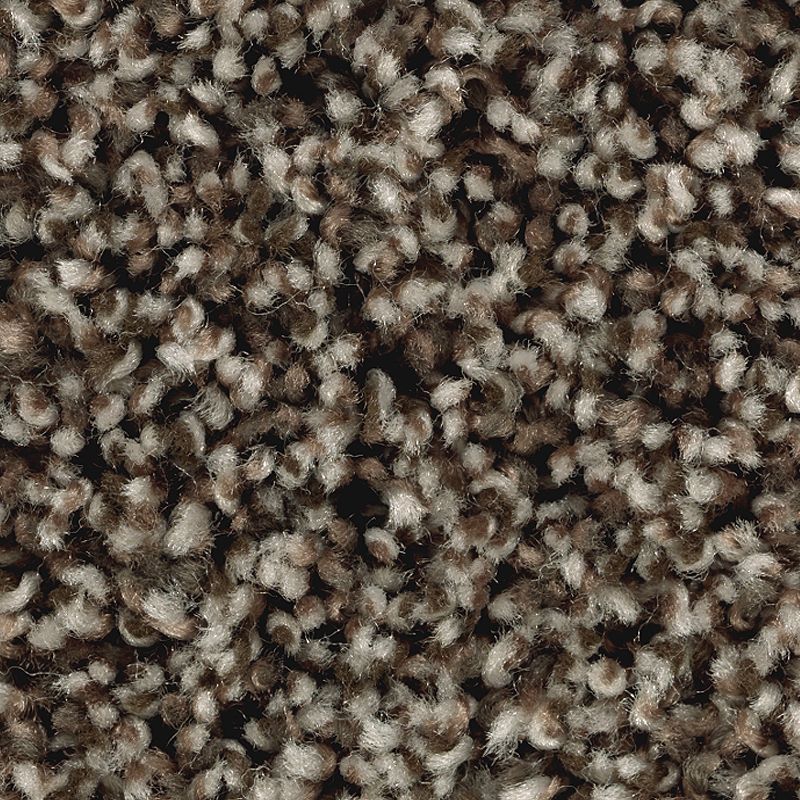 Artist's Slate 865 Imperial Brown 25 oz. Triexta Smartstrand Texture Indoor Carpet Flooring 12' Feet Wide (9 sf / yd)