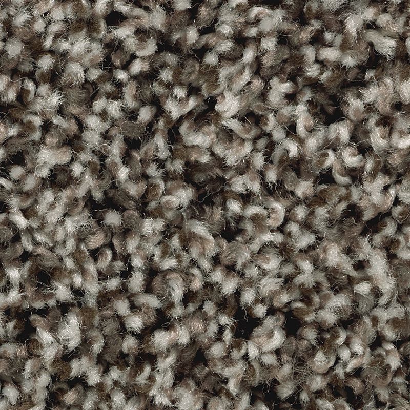 Artist's Slate 868 Hawthorn 25 oz. Triexta Smartstrand Texture Indoor Carpet Flooring 12' Feet Wide (9 sf / yd)