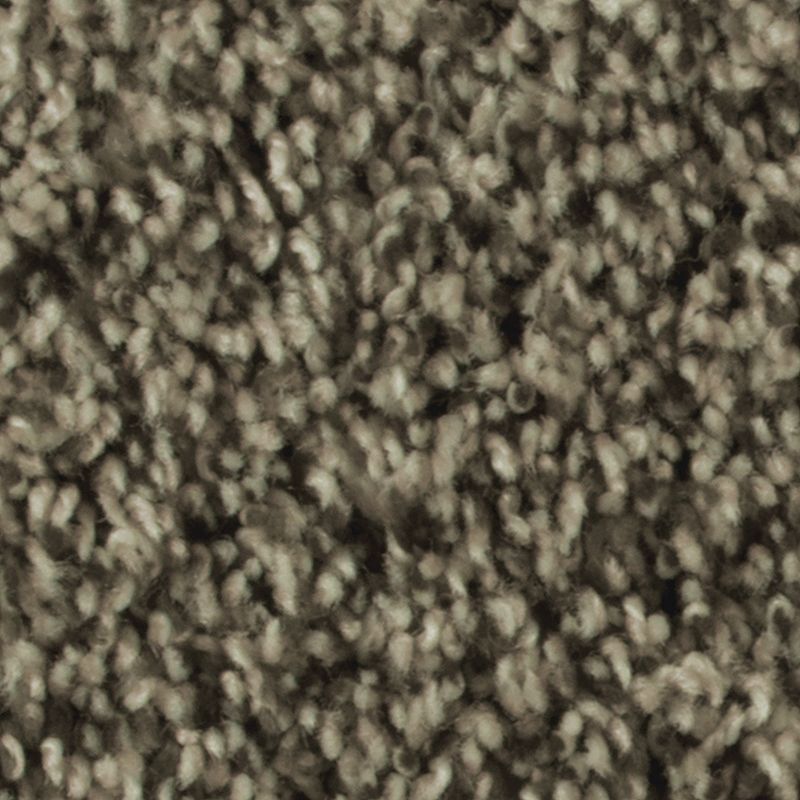 Artistic Allure 742 Antique Ice 32 oz. Triexta Smartstrand Texture Indoor Carpet Flooring 12' Feet Wide (9 sf / yd)