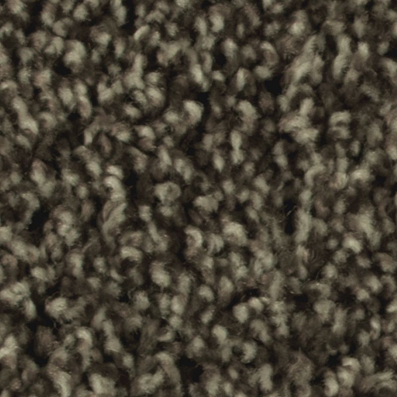 Artistic Allure 865 Imperial Brown 32 oz. Triexta Smartstrand Texture Indoor Carpet Flooring 12' Feet Wide (9 sf / yd)