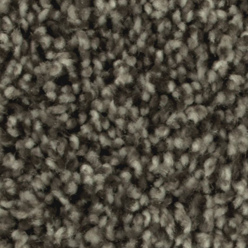 Artistic Allure 868 Hawthorn 32 oz. Triexta Smartstrand Texture Indoor Carpet Flooring 12' Feet Wide (9 sf / yd)