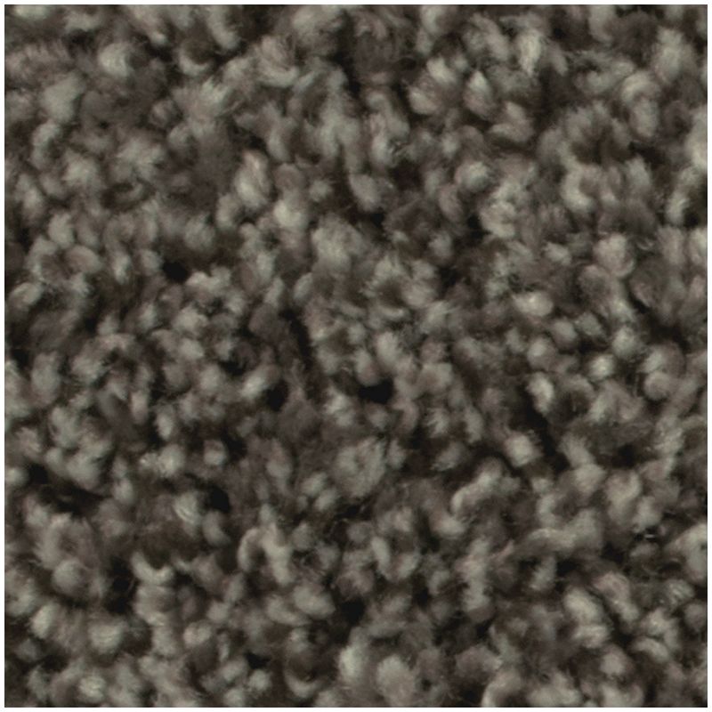 Artistic Allure 937 Stonewood 32 oz. Triexta Smartstrand Texture Indoor Carpet Flooring 12' Feet Wide (9 sf / yd)