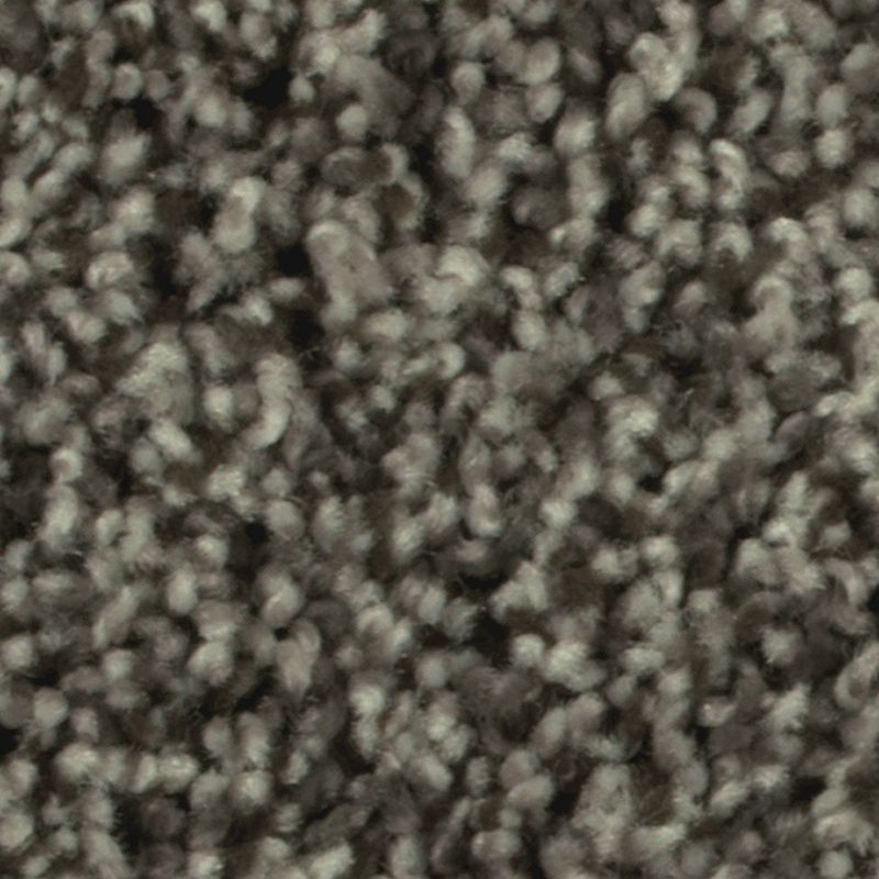 Artistic Allure 939 Amazon Star 32 oz. Triexta Smartstrand Texture Indoor Carpet Flooring 12' Feet Wide (9 sf / yd)
