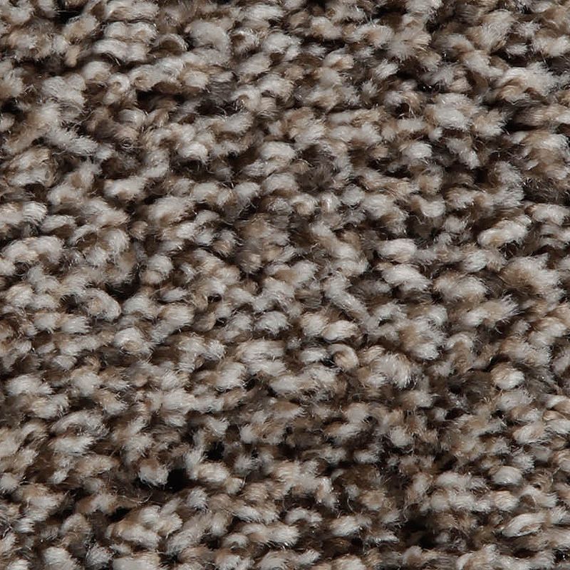 Artistic Retreat 838 Autumn Leaf 42 oz. Triexta Smartstrand Texture Indoor Carpet Flooring 12' Feet Wide (9 sf / yd)