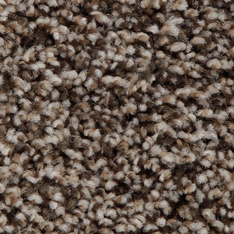 Artistic Retreat 861 Dakota Dawn 42 oz. Triexta Smartstrand Texture Indoor Carpet Flooring 12' Feet Wide (9 sf / yd)