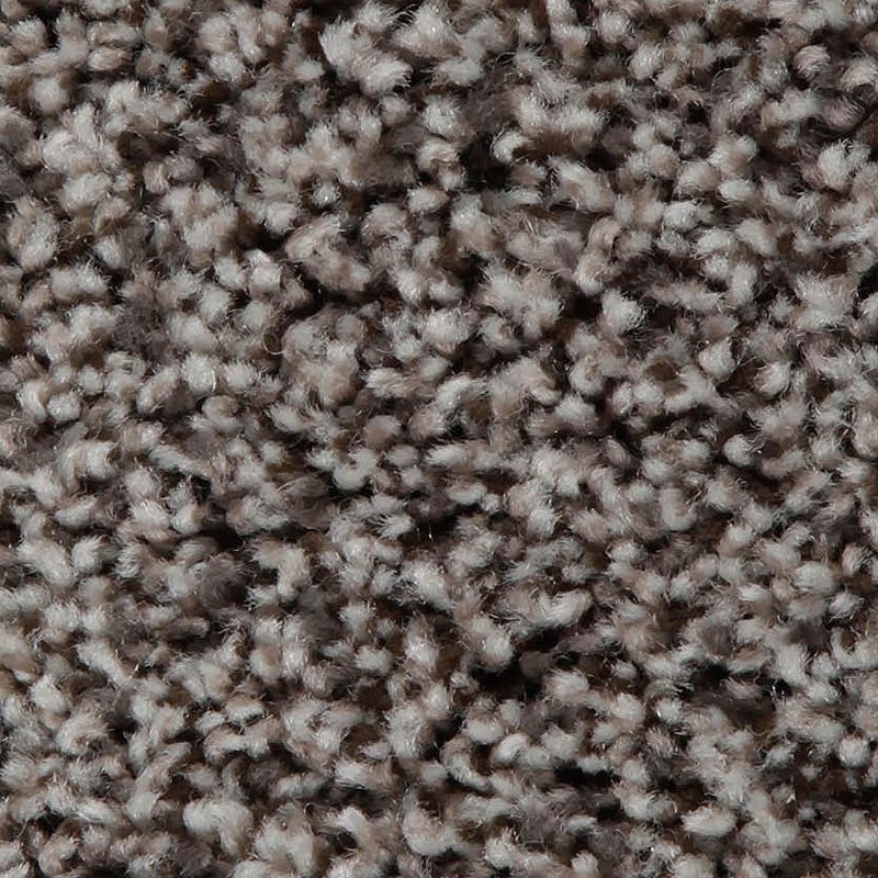 Artistic Retreat 937 Stonewood 42 oz. Triexta Smartstrand Texture Indoor Carpet Flooring 12' Feet Wide (9 sf / yd)
