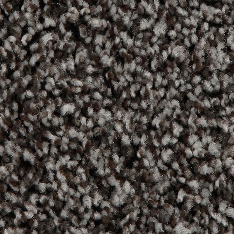 Artistic Retreat 978 Stormy Night 42 oz. Triexta Smartstrand Texture Indoor Carpet Flooring 12' Feet Wide (9 sf / yd)