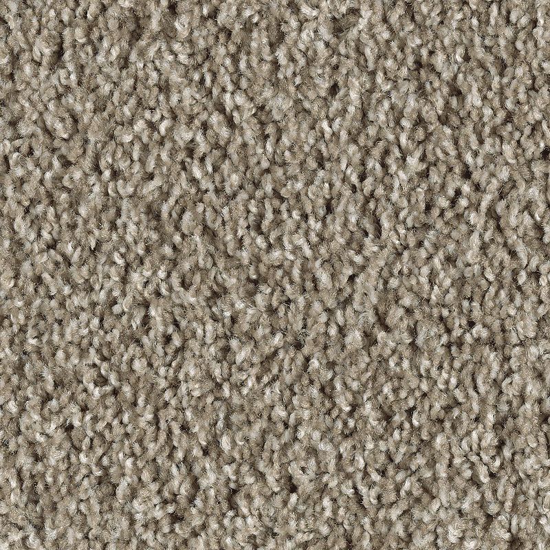 Authentic Voice 852 Sumatra Blend 25 oz. Triexta Smartstrand Texture Indoor Carpet Flooring 12' Feet Wide (9 sf / yd)
