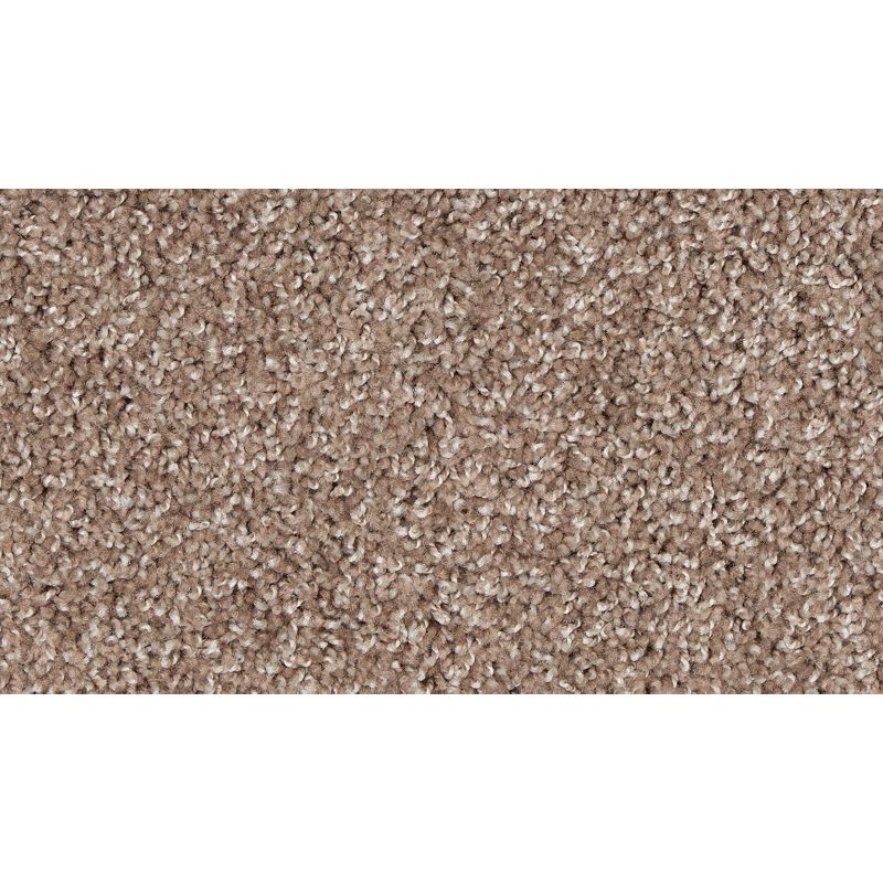 Authentic Voice 858 Tiberius 25 oz. Triexta Smartstrand Texture Indoor Carpet Flooring 12' Feet Wide (9 sf / yd)