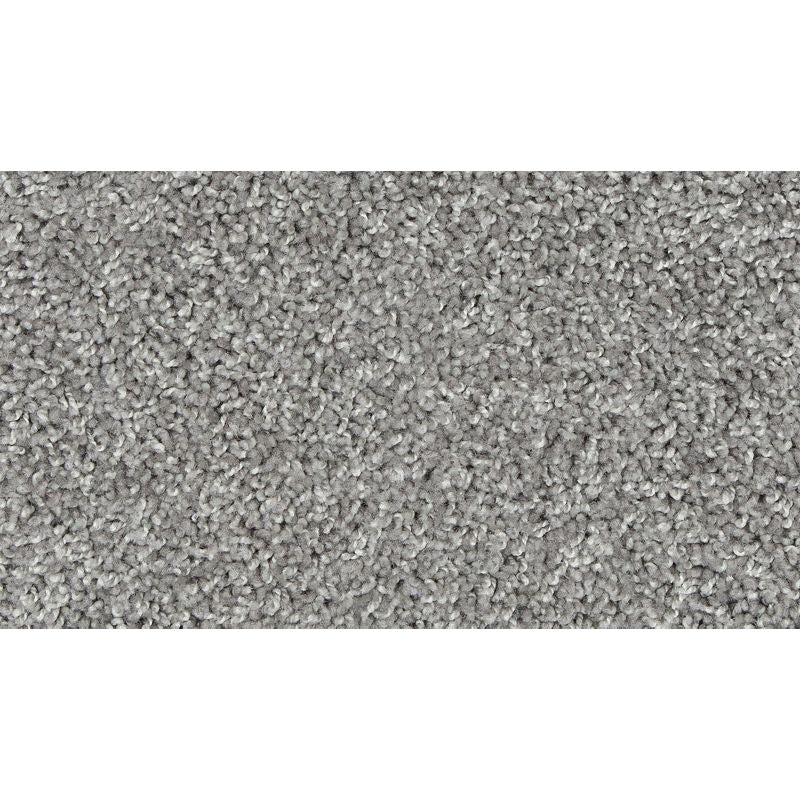 Authentic Voice 962 Winter Twill 25 oz. Triexta Smartstrand Texture Indoor Carpet Flooring 12' Feet Wide (9 sf / yd)