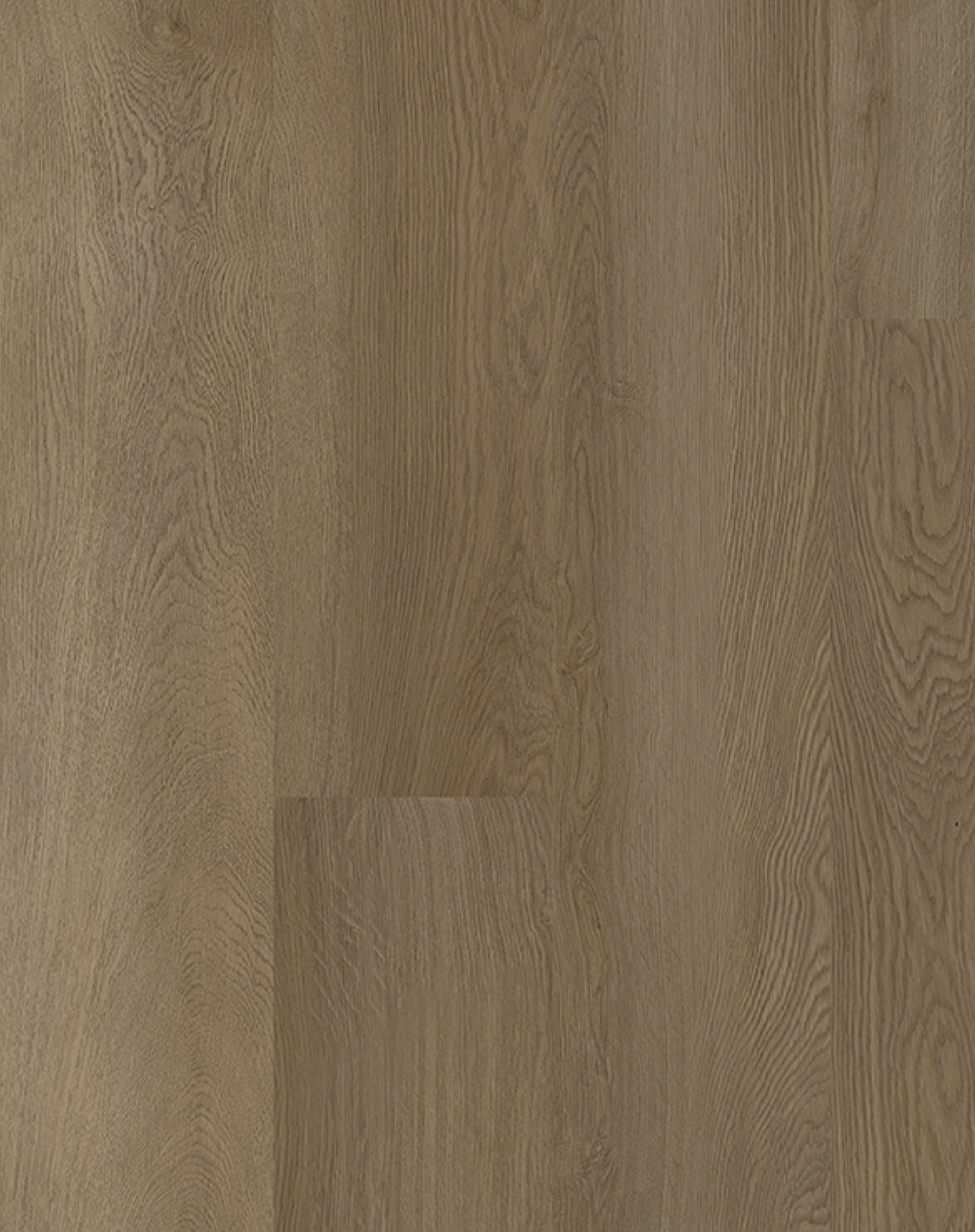 Eterra Black Series GA10859 Sawyer 10 mm T x 9.05" In W x 70.87" In L 20 Mil ESPC Click-Lock Waterproof Vinyl Plank Flooring (17.81 sf / box)