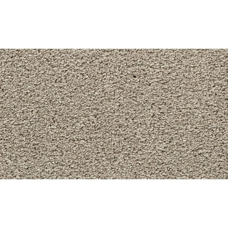 Bold Choice 809 Wrangler 70 oz. Polyester Everstrand Texture Indoor Carpet Flooring 12' Feet Wide (9 sf / yd)