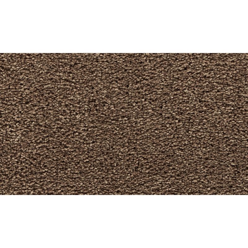 Bold Choice 887 Cattails 70 oz. Polyester Everstrand Texture Indoor Carpet Flooring 12' Feet Wide (9 sf / yd)