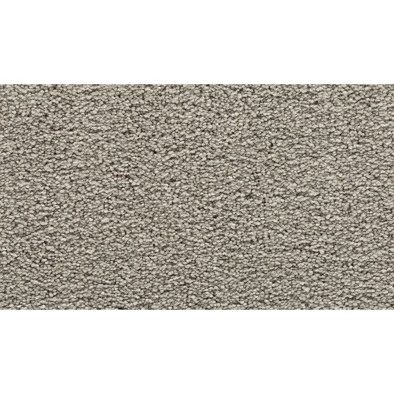 Bold Choice 939 Dovetail 70 oz. Polyester Everstrand Texture Indoor Carpet Flooring 12' Feet Wide (9 sf / yd)