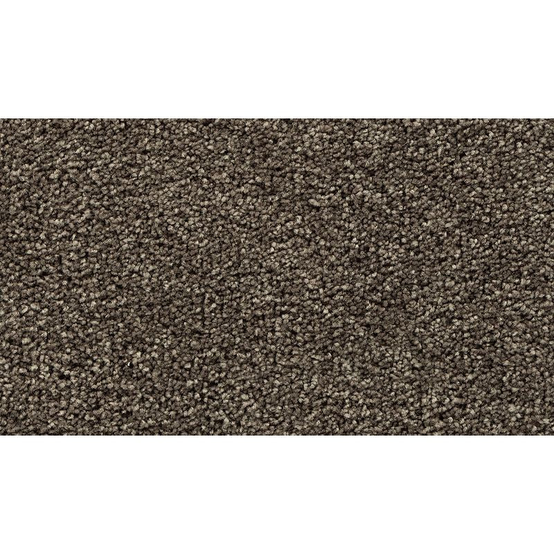 Bold Choice 950 Cathedral 70 oz. Polyester Everstrand Texture Indoor Carpet Flooring 12' Feet Wide (9 sf / yd)