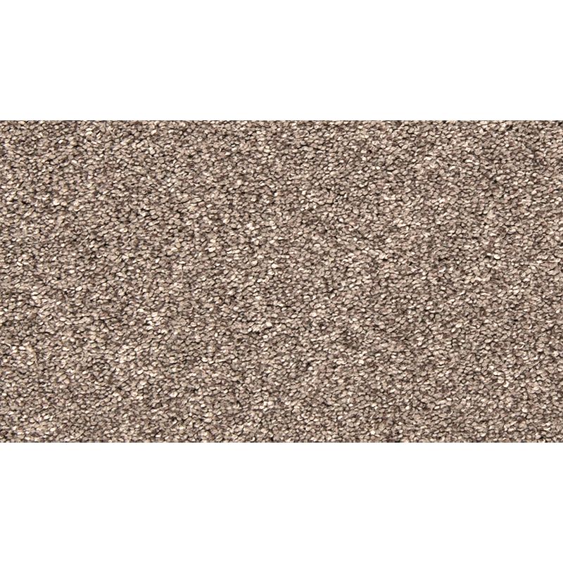 Bold Creation 863 Southwest 70 oz. Polyester Everstrand Texture Indoor Carpet Flooring 12' Feet Wide (9 sf / yd)