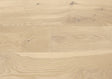 Branche_Charel_58343_01.jpg
