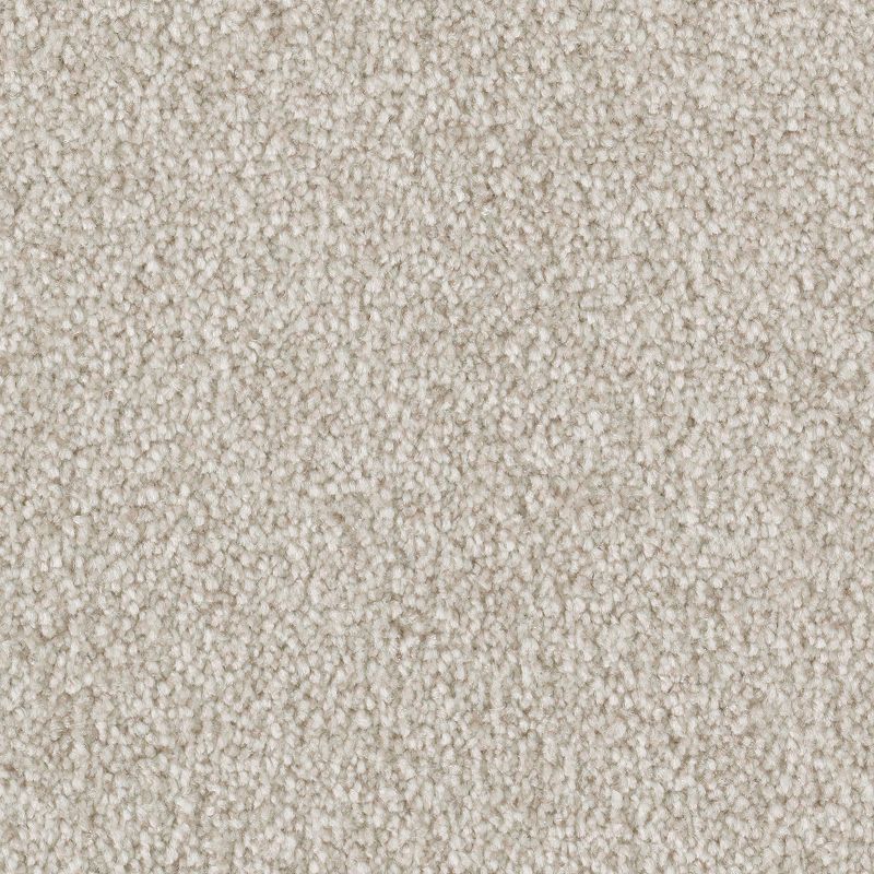 Brilliant Idea 567 Stellar 65 oz. Triexta Smartstrand Texture Indoor Carpet Flooring 12' Feet Wide (9 sf / yd)