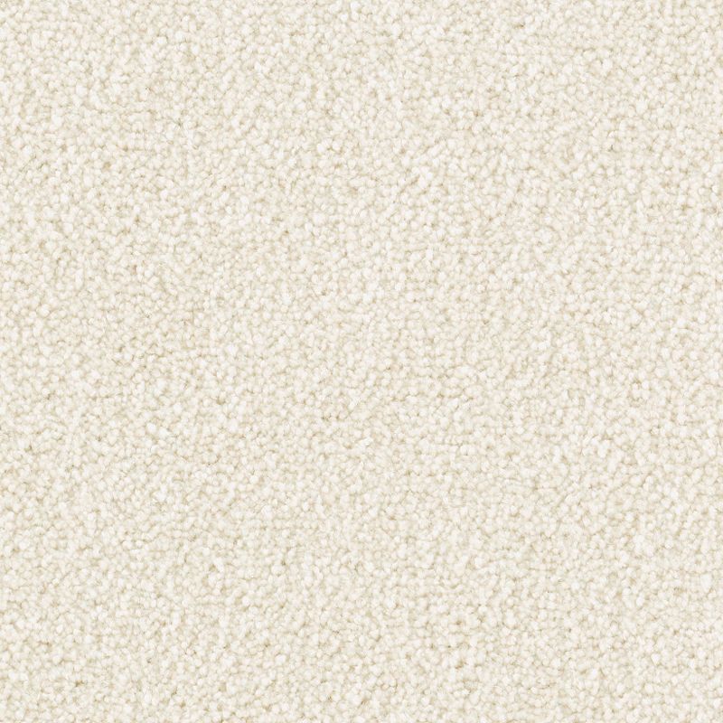 Brilliant Idea 568 Winter Wind 65 oz. Triexta Smartstrand Texture Indoor Carpet Flooring 12' Feet Wide (9 sf / yd)