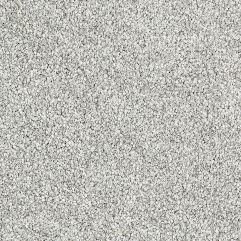 Brilliant Idea 569 Bluestone 65 oz. Triexta Smartstrand Texture Indoor Carpet Flooring 12' Feet Wide (9 sf / yd)
