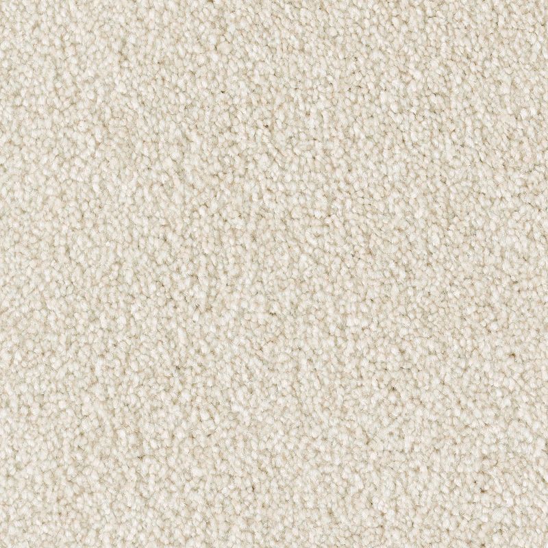 Brilliant Idea 573 Downy Lustre 65 oz. Triexta Smartstrand Texture Indoor Carpet Flooring 12' Feet Wide (9 sf / yd)