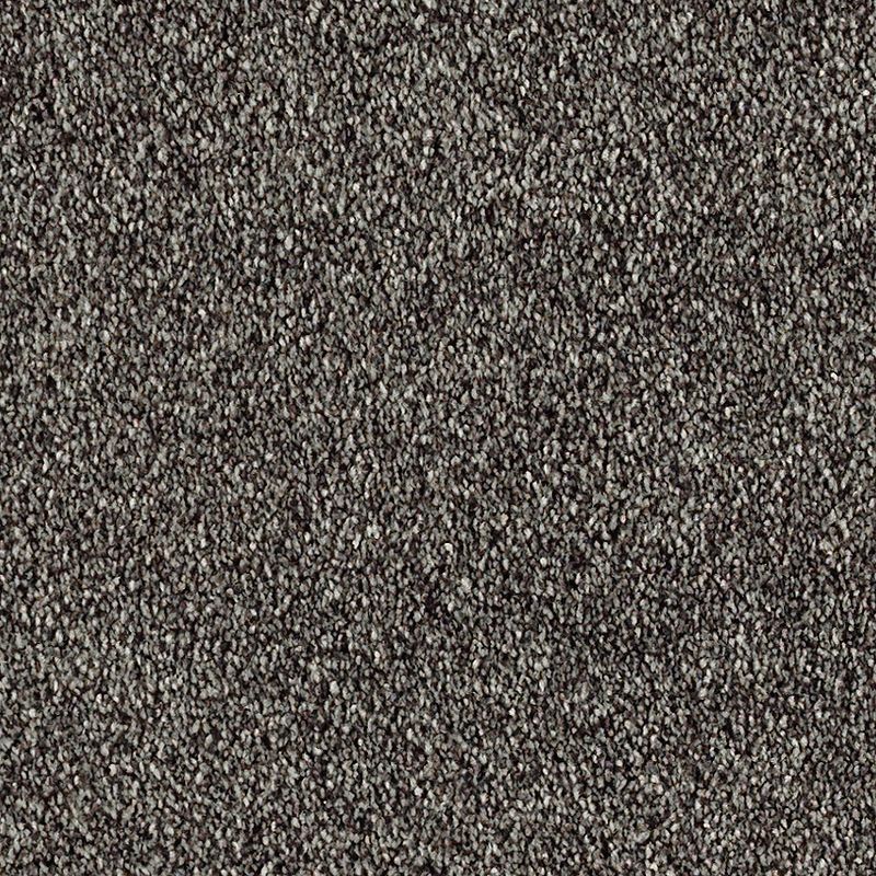 Brilliant Idea 575 Magnetic 65 oz. Triexta Smartstrand Texture Indoor Carpet Flooring 12' Feet Wide (9 sf / yd)