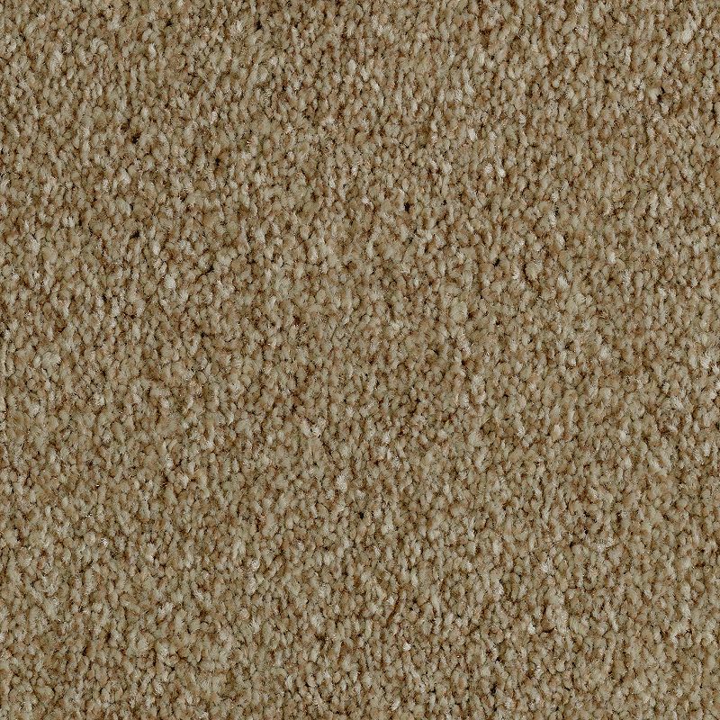 Brilliant Idea 578 Sparkling Cider 65 oz. Triexta Smartstrand Texture Indoor Carpet Flooring 12' Feet Wide (9 sf / yd)