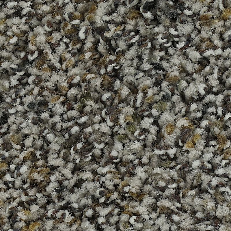 Captivating Outlook 501 Overcast 35 oz. Triexta Smartstrand Texture Indoor Carpet Flooring 12' Feet Wide (9 sf / yd)