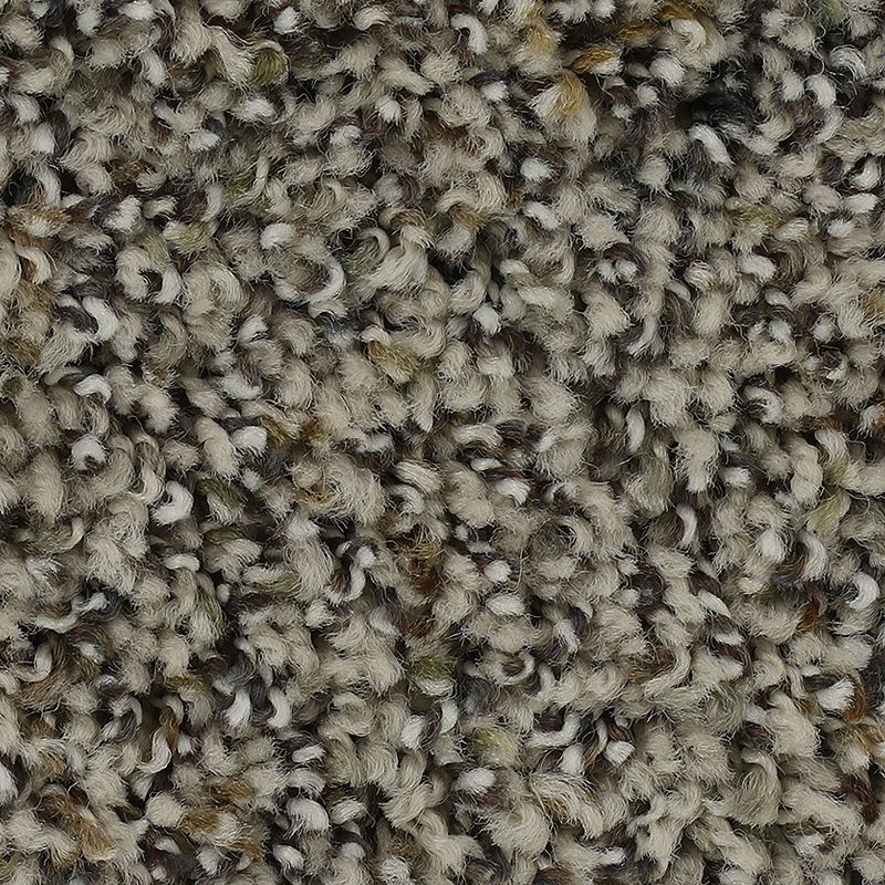 Captivating Outlook 503 Ravine 35 oz. Triexta Smartstrand Texture Indoor Carpet Flooring 12' Feet Wide (9 sf / yd)