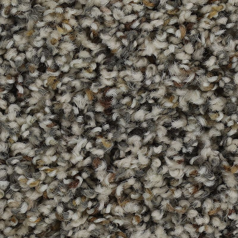 Captivating Outlook 505 Elmwood 35 oz. Triexta Smartstrand Texture Indoor Carpet Flooring 12' Feet Wide (9 sf / yd)