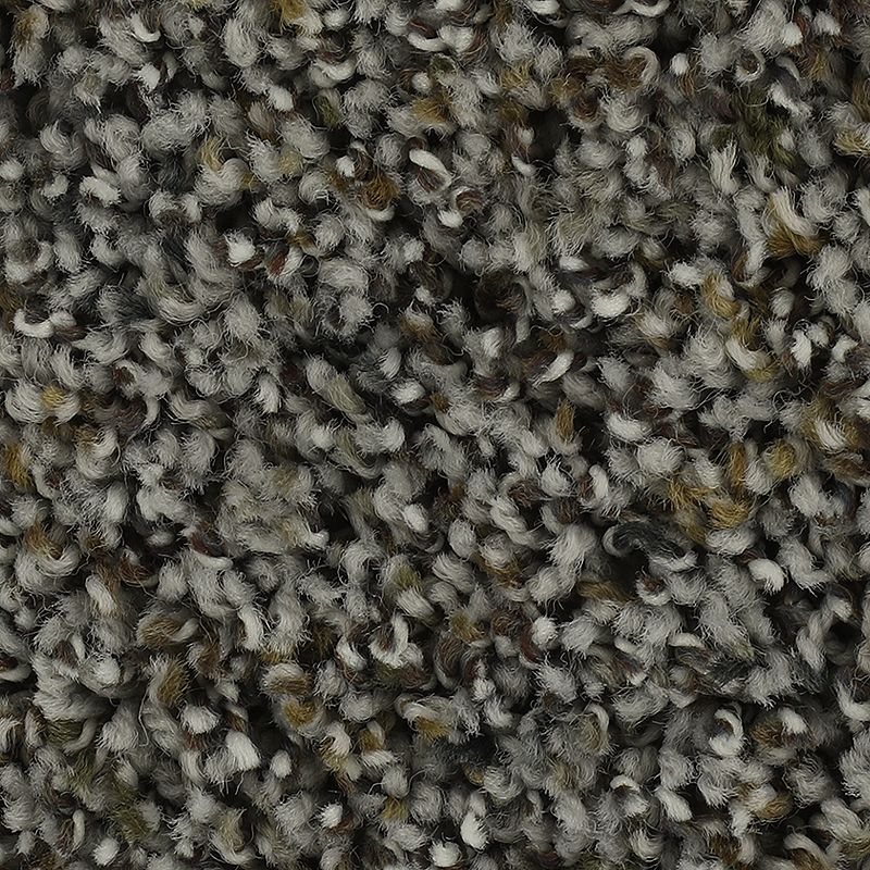 Captivating Outlook 506 Flintstone 35 oz. Triexta Smartstrand Texture Indoor Carpet Flooring 12' Feet Wide (9 sf / yd)
