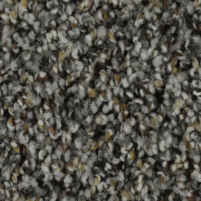 Captivating Outlook 507 Cloudy Shadow 35 oz. Triexta Smartstrand Texture Indoor Carpet Flooring 12' Feet Wide (9 sf / yd)