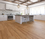 Ceramin®_Icon_Beasley_63341_02.jpg