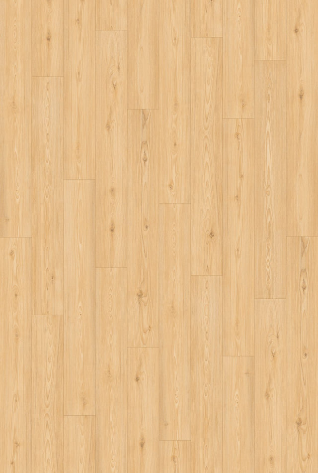 Ceramin®_Icon_Brookeswood_63342_01.jpg
