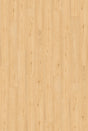 Ceramin®_Icon_Brookeswood_63342_01.jpg