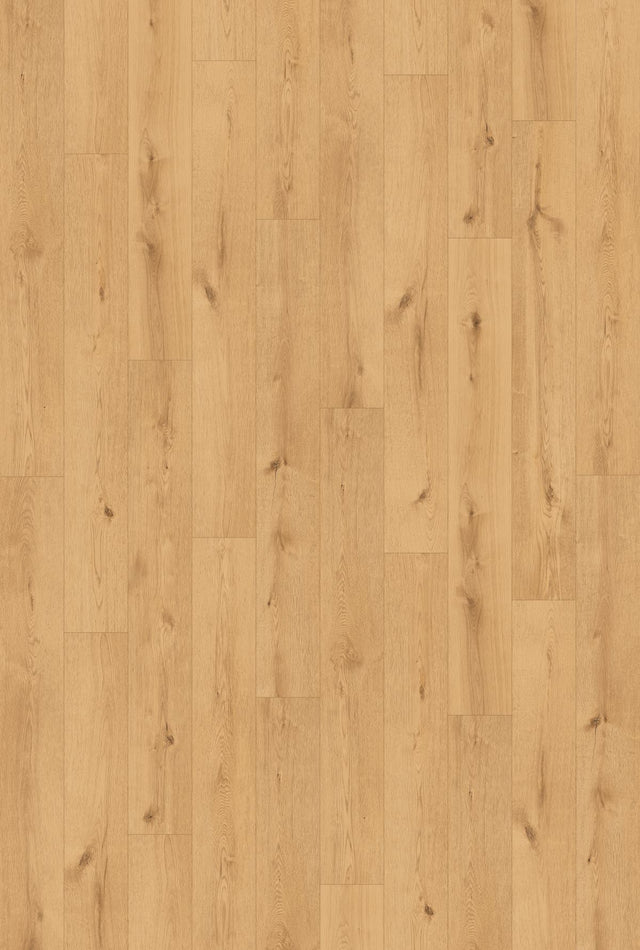 Ceramin®_Icon_Hollyburn_63339_01.jpg
