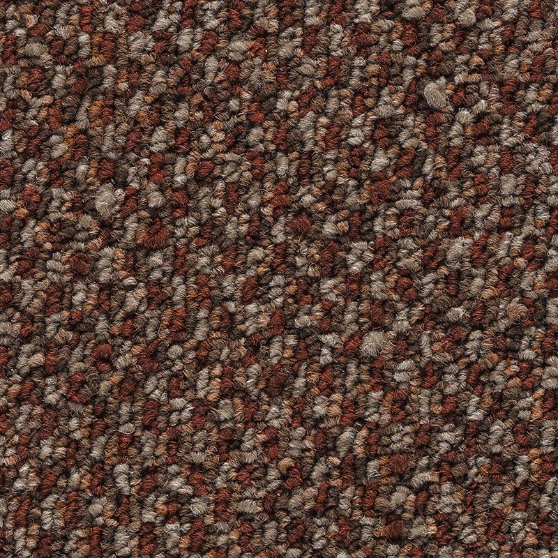 Chex II 383 Chelsea Market 20 oz. Polyester EnviroStrand SD Indoor Loop Broadloom Carpet Flooring 12' Feet Wide (9 sf / yd)