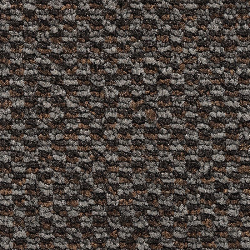 Chex II 999 Civitan Trail 20 oz. Polyester EnviroStrand SD Indoor Loop Broadloom Carpet Flooring 12' Feet Wide (9 sf / yd)