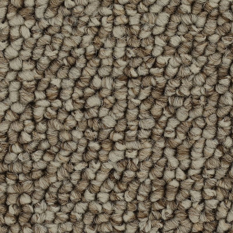 Chic Comfort 853 Ancient Treasure 25 oz. Polyester Everstrand Loop Indoor Carpet Flooring 12' Feet Wide (9 sf / yd)